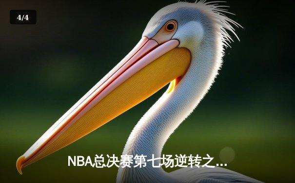 NBA总决赛第七场逆转之战：热火绝地反击加时险胜掘金 - 4