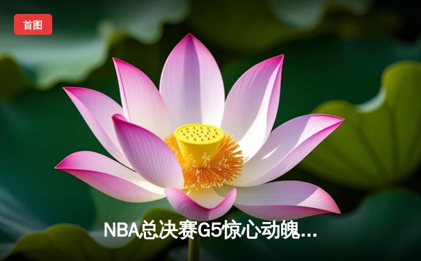 NBA总决赛G5惊心动魄，湖人队詹姆斯关键三分锁定胜局